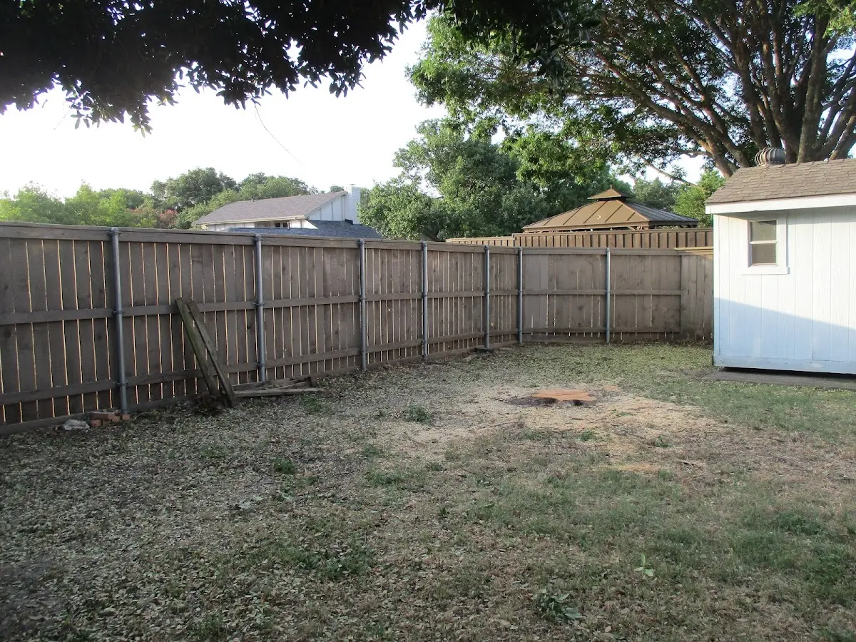 Cleared yard after professional tree removal in Kearny